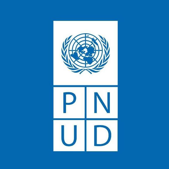 pnud